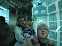 P3041221.JPG - 2008:03:04 14:02:49