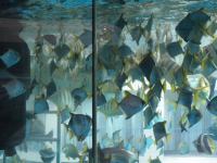 P3041223.JPG - 2008:03:04 14:07:58