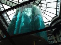 P3041224.JPG - 2008:03:04 14:14:47