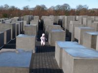 P3051331.JPG - 2008:03:05 10:21:26