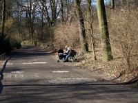 P3051337.JPG - 2008:03:05 12:21:28