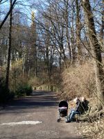 P3051340.JPG - 2008:03:05 12:21:48