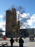 P3051348.JPG - 2008:03:05 13:14:45