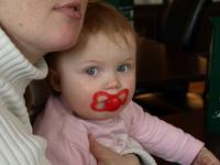 P3061405.JPG - 2008:03:06 12:08:26