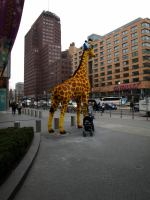 P3061452.JPG - 2008:03:06 16:01:39