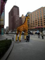 P3061453.JPG - 2008:03:06 16:01:41