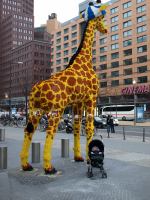 P3061455.JPG - 2008:03:06 16:01:54