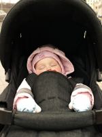 P3061487.JPG - 2008:03:06 16:27:47