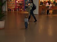 P3071498.JPG - 2008:03:07 11:58:41