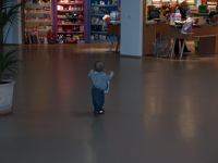 P3071499.JPG - 2008:03:07 11:58:45