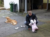 P3091615.JPG - 2008:03:09 12:22:38