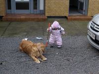 P3091618.JPG - 2008:03:09 12:23:13