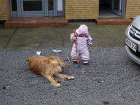 P3091619.JPG - 2008:03:09 12:23:18