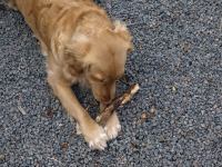 P3091621.JPG - 2008:03:09 12:23:52