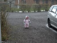 P3201818.JPG - 2008:03:20 12:43:34