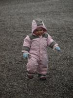 P3201820.JPG - 2008:03:20 12:43:41