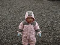 P3201834.JPG - 2008:03:20 12:44:22