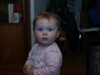 P3211845.JPG - 2008:03:21 17:35:10