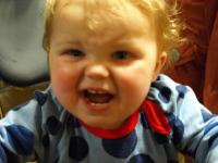 P3301917.JPG - 2008:03:30 12:53:52