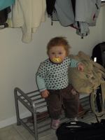 P4120237.JPG - 2008:04:12 14:35:40