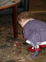 P4180338.JPG - 2008:04:18 14:32:25