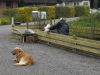 P5010441.JPG - 2008:05:01 09:51:55