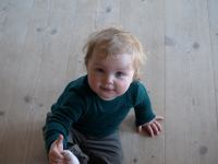 P5020451.JPG - 2008:05:02 16:33:05