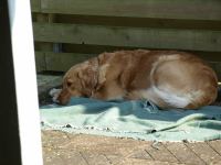 P5020461.JPG - 2008:05:02 16:33:54