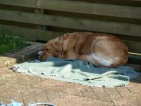 P5020462.JPG - 2008:05:02 16:33:58