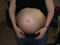 P5070467.JPG - 2008:05:07 19:58:44