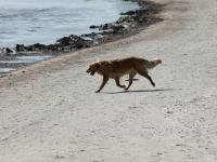 P5170938.JPG - 2008:05:17 09:44:52