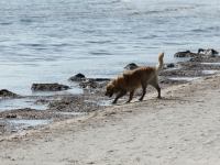 P5170939.JPG - 2008:05:17 09:44:54