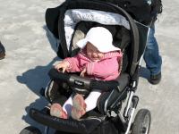 P5170942.JPG - 2008:05:17 09:45:13