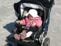 P5170943.JPG - 2008:05:17 09:45:14