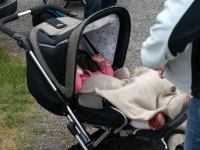 P5170948.JPG - 2008:05:17 14:49:41