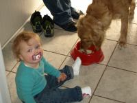 P5180965.JPG - 2008:05:18 08:17:53