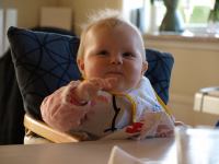 P5181023.JPG - 2008:05:18 12:32:22