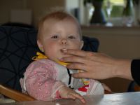 P5181026.JPG - 2008:05:18 12:32:49