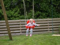 P5191086.JPG - 2008:05:19 19:12:44