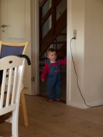 P5241124.JPG - 2008:05:24 16:35:24