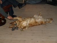 P5251142.JPG - 2008:05:25 22:28:20