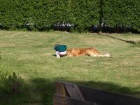 P5301223.JPG - 2008:05:30 09:02:17