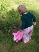 P5301229.JPG - 2008:05:30 09:03:18