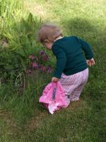 P5301230.JPG - 2008:05:30 09:03:20