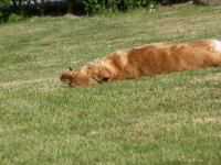 P5301235.JPG - 2008:05:30 09:04:26