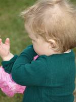 P5301236.JPG - 2008:05:30 09:04:41