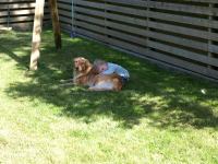 P6091347.JPG - 2008:06:09 16:16:12