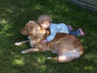 P6091349.JPG - 2008:06:09 16:16:26