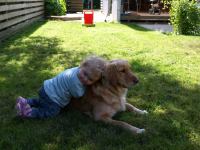 P6091350.JPG - 2008:06:09 16:16:41