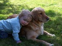 P6091351.JPG - 2008:06:09 16:16:45